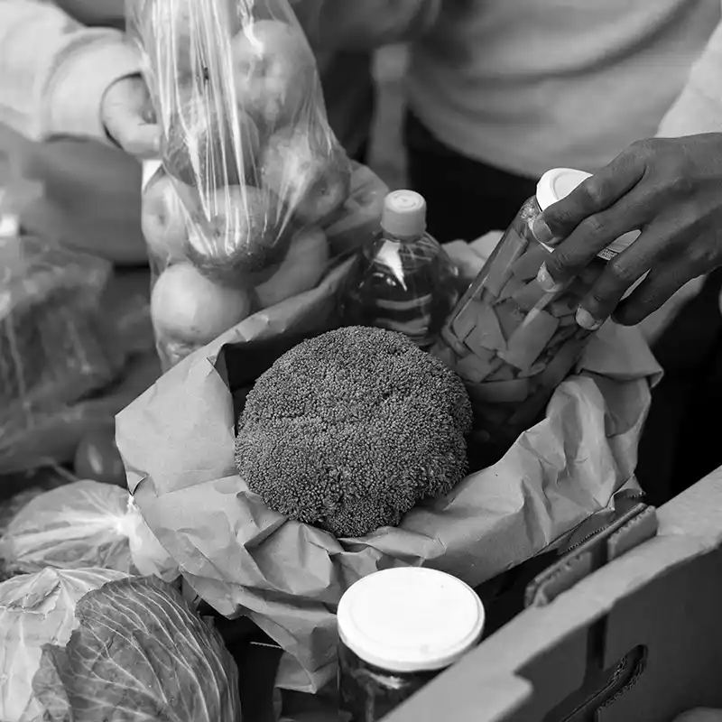 Food bank groceries